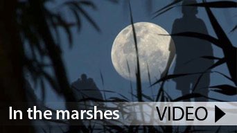 In the marshes film - Rwandan Stories
