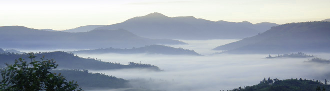 Misty hills, Rwanda
